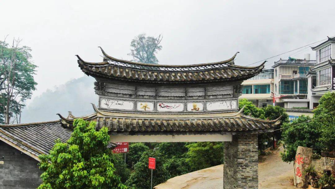 冰岛,一款甜到你心里的茶!