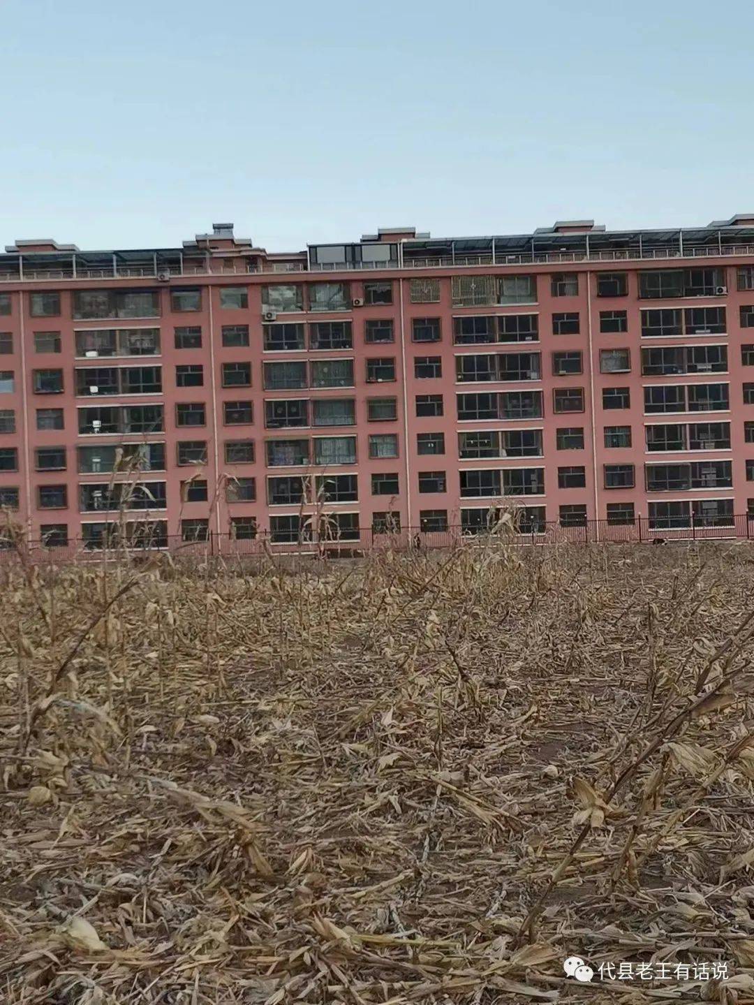 山西省忻州市代县峨口镇佛光庄幸福苑小区违法占用基本农田建楼房,无