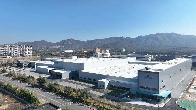 临港区:一座现代化产业新城在"奔跑"_发展_新能源_企业