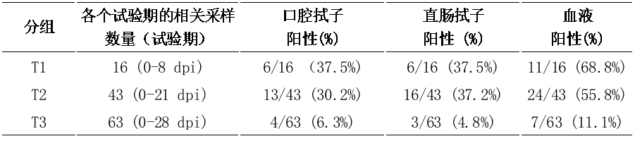 pcr 抗體共同檢測血液樣本防範非瘟弱毒株感染_動物_陽性_病毒