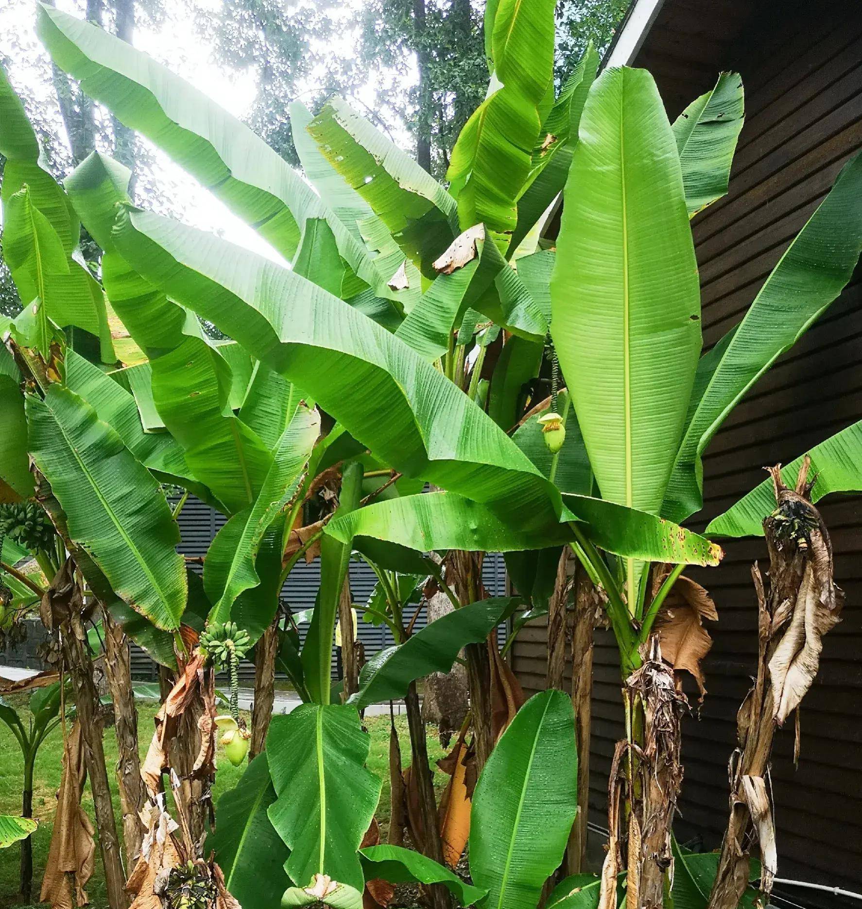 何炅 胡歌 刘涛 钟楚曦 龚俊 周深 肖战 杨紫 曾舜晞 刘诗诗_生活