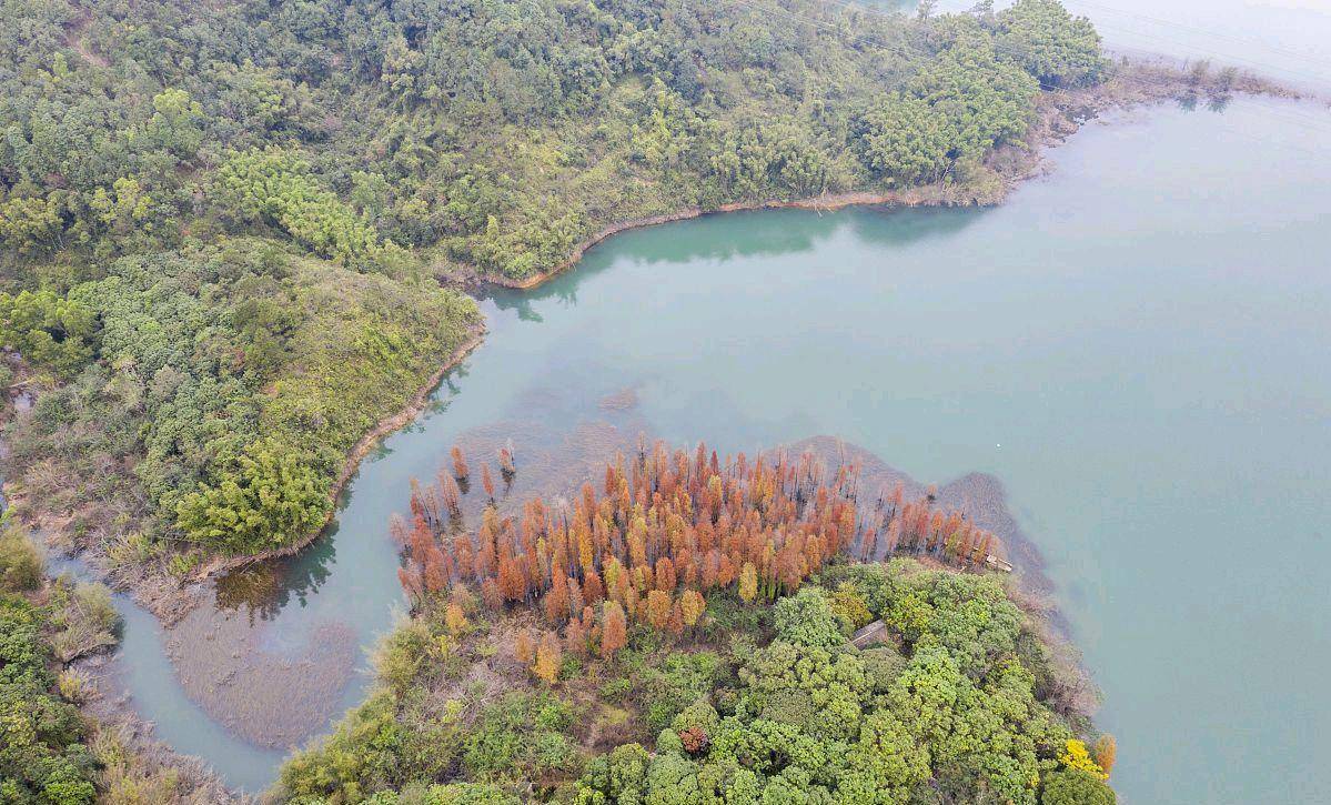 长治漳泽水库湿地公园图片