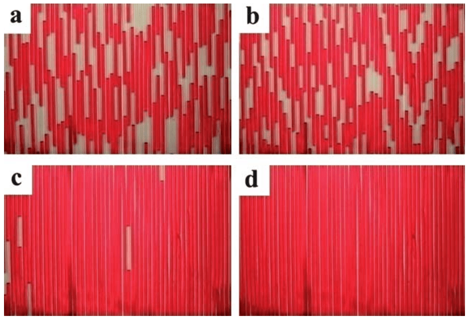 biogeneral流动加氢: 使用 teflon af-2400 管在高压下实现气液接触