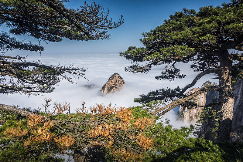 黄山值得去的景点图片