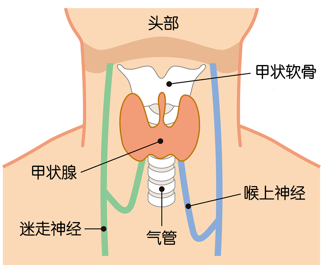 当你的身体出现这些异样信号