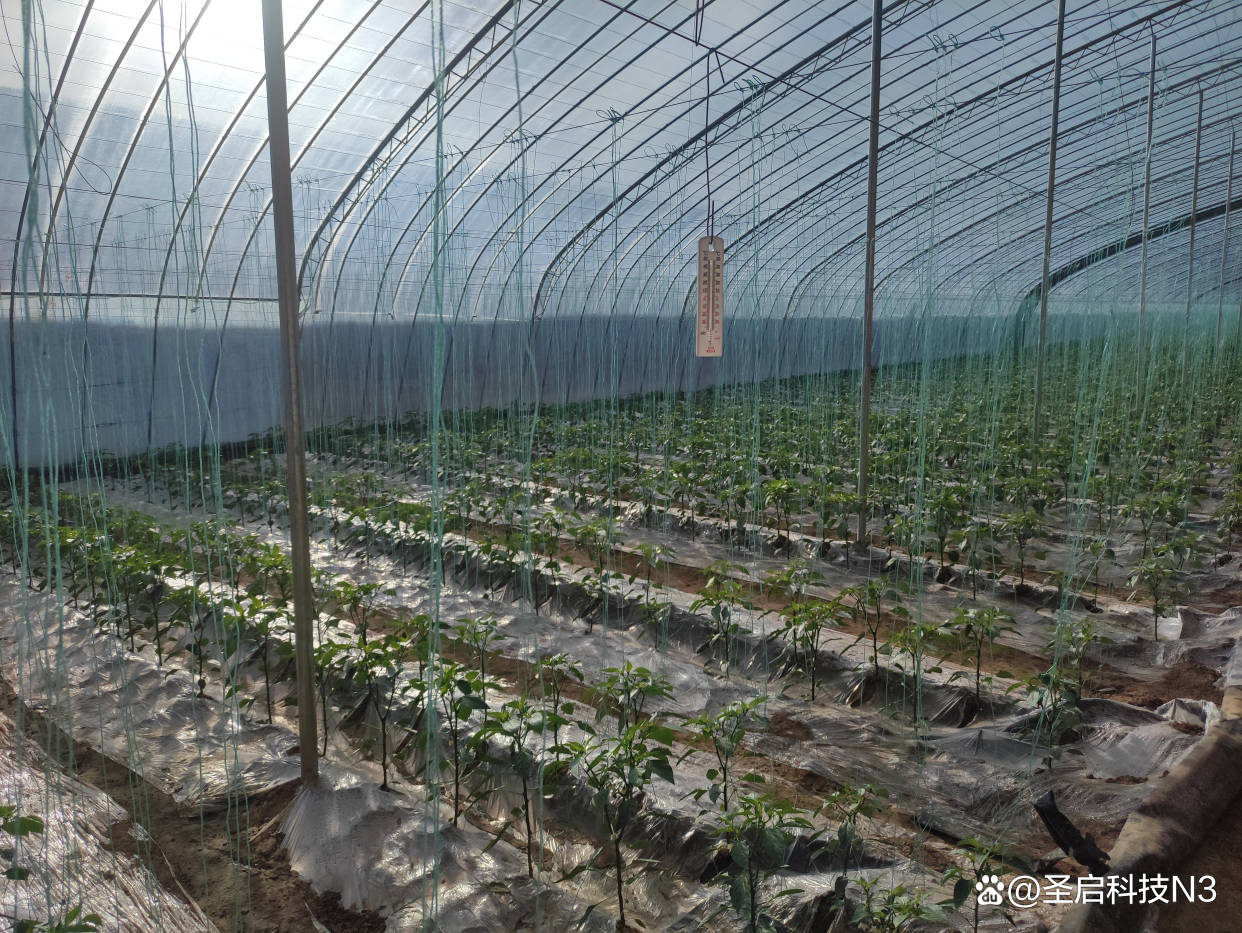 新型日光温室里的新希望-物联网智能控制温室大棚!_管理_智能化_农户