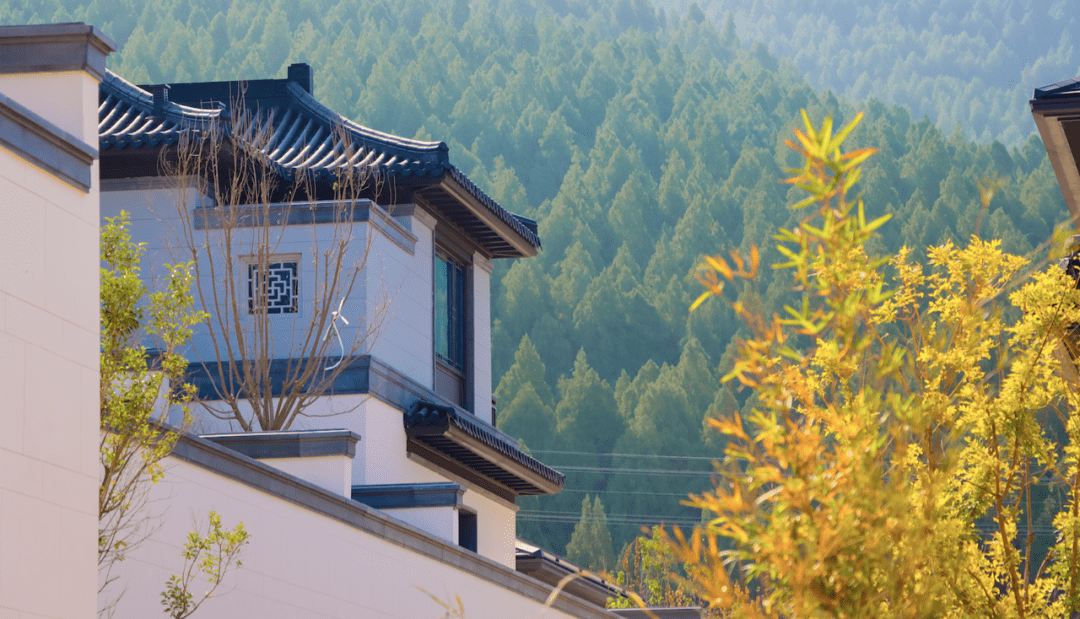 济宁曲阜耕读书院盛启府门院落圈层人生_家族_文化