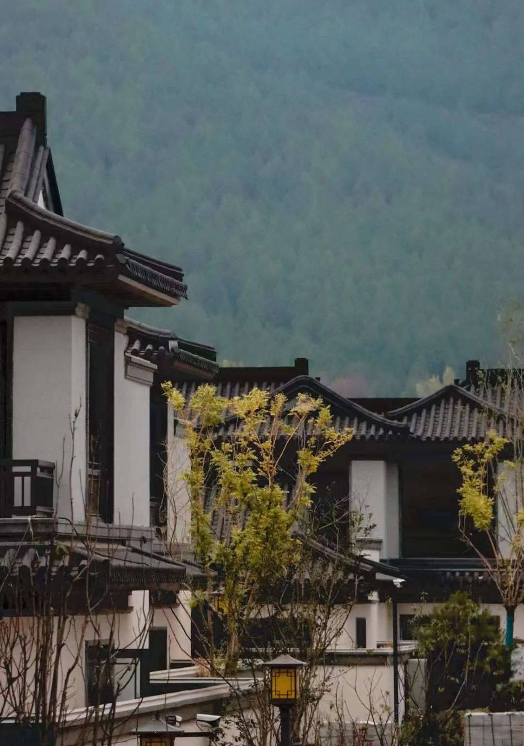 济宁曲阜耕读书院盛启府门院落圈层人生_家族_文化