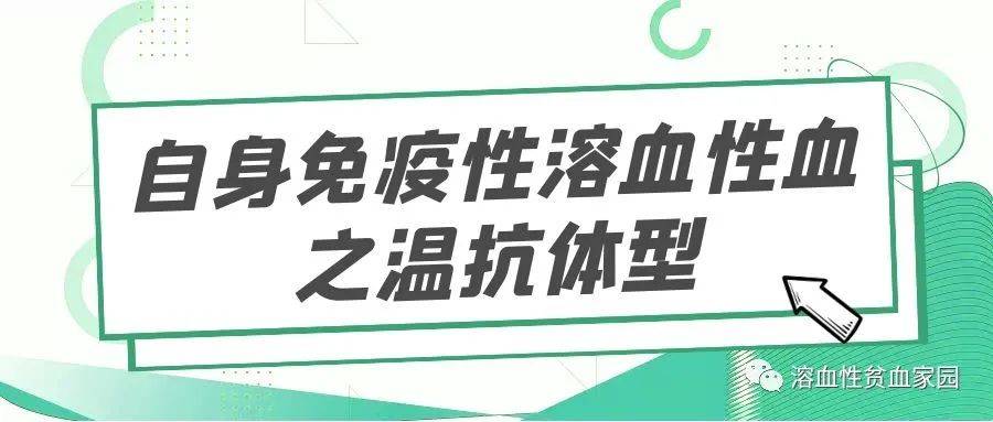 認識疾病|自身免疫性溶血性貧血之溫抗體型_治療_檢查_患者