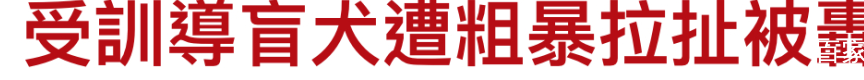 20年前的老片被顶上热搜，炸死功勋犬，导演还被夸“善良”？ 