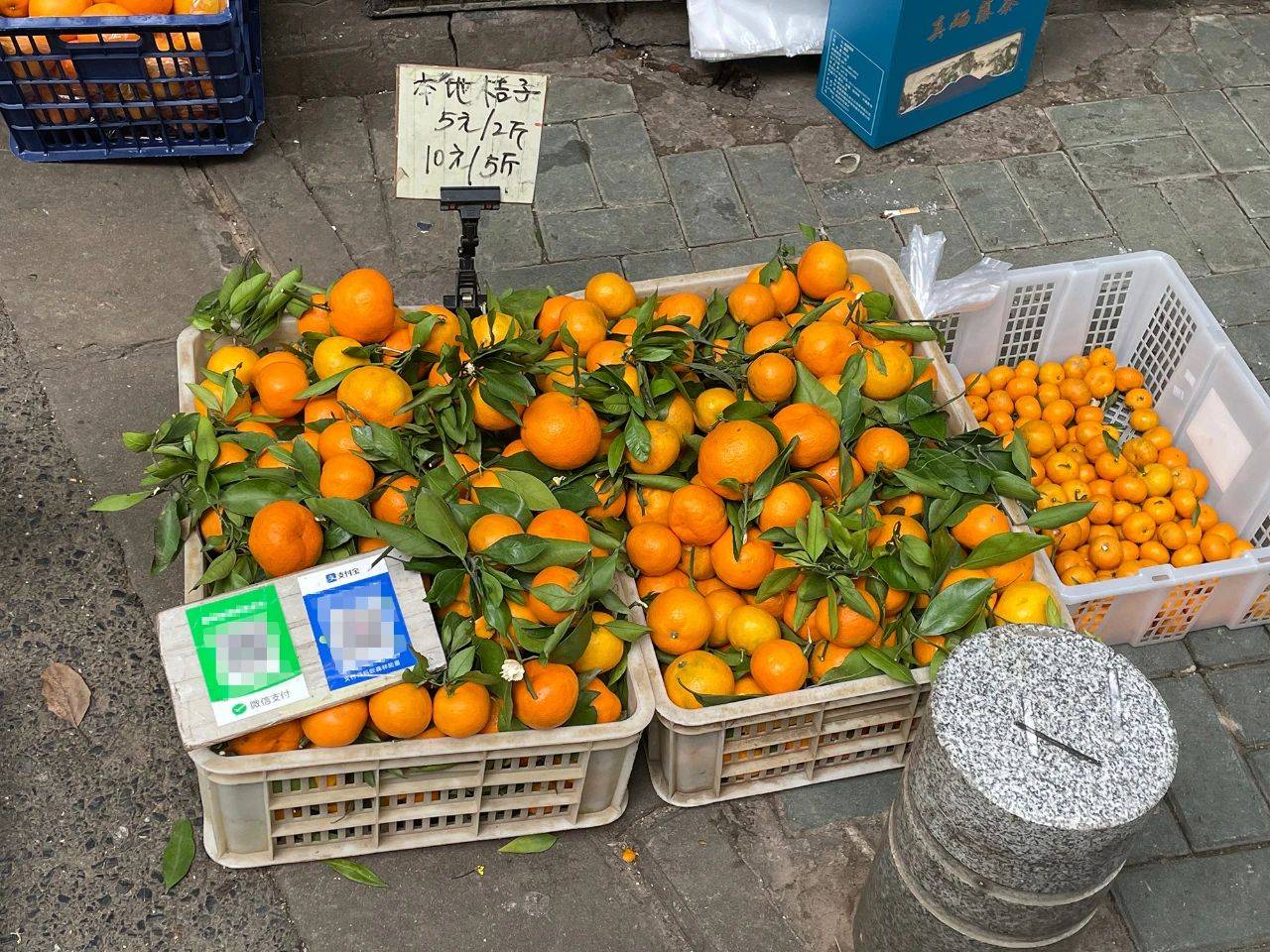 水果丰产了,价格却降至5毛一斤,果园不赚钱,果农该怎么办?