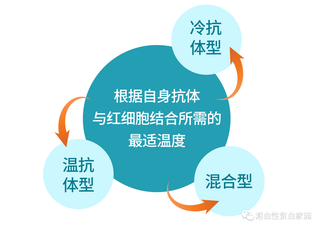 认识疾病 | 自身免疫性溶血性贫血(aiha)分类_抗体_阳性者_试验
