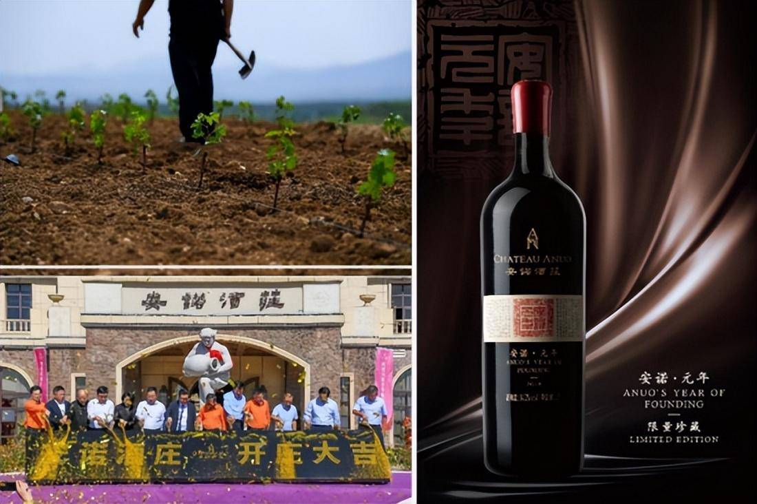 安诺酒庄:十年耕耘,"葡"写乡村振兴新篇章
