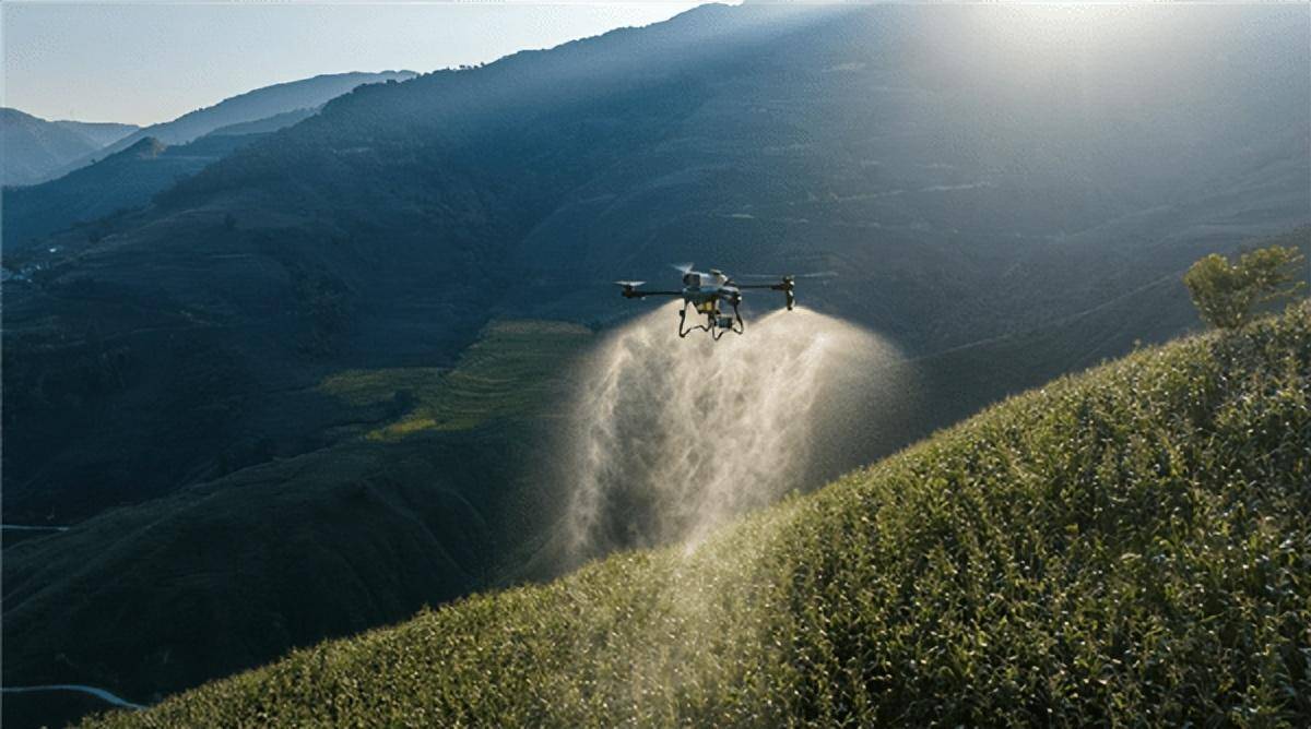 覆盖农林牧渔多场景作业,大疆发布两款植保无人机!