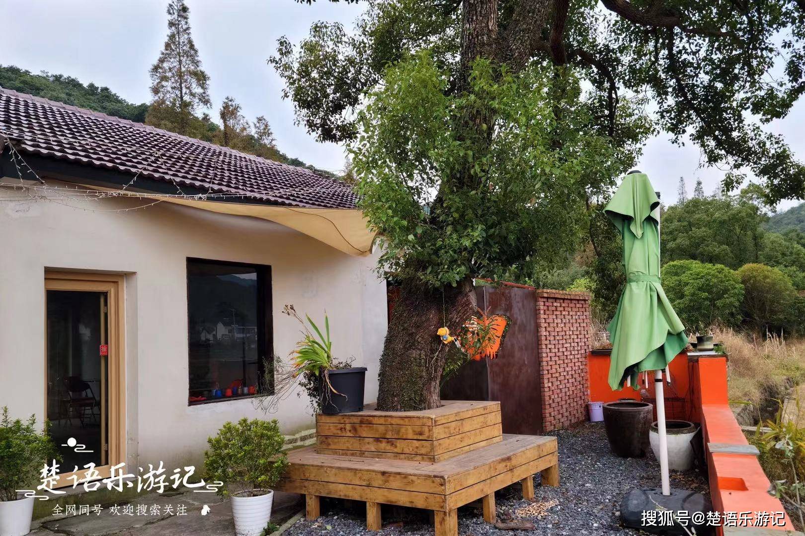 九龙湖_镇海区_孟家