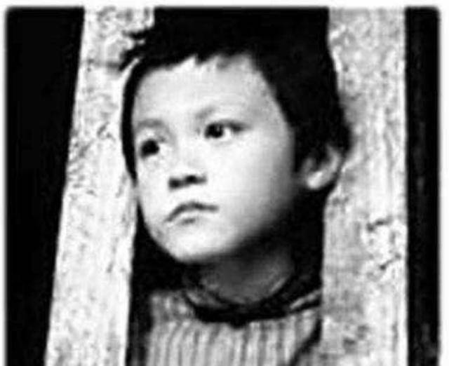 杨虎城和小萝卜头,解放后去自首,为何却被无罪释放_杨钦典_重庆_工作