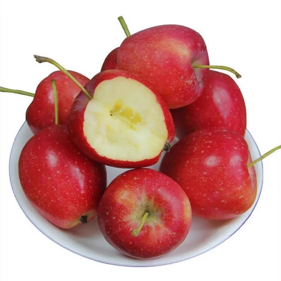 乡村振兴背景下绿色鸡心果种植栽培及生产模式研究