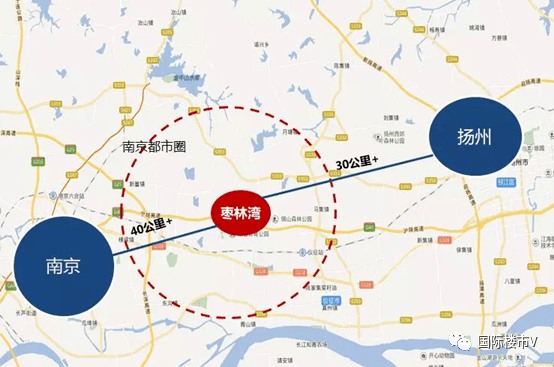 揚州儀徵「棗林灣」潤園樓盤詳情_康養小_芍藥_小鎮