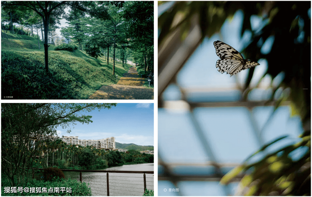 三亚《万科森林度假公园·瑧山谷》欢迎您丨万科森林度假公园电话丨