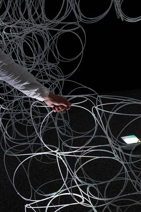 写真撮影: daici ano6夏休みの植物群tokyo, japan / 2009.