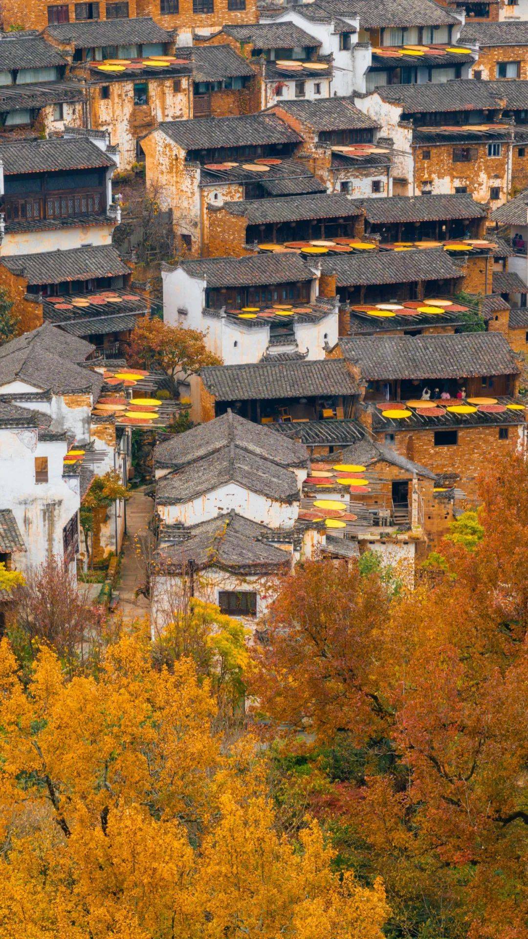 篁岭晒秋美宿:沉浸式感受最长秋天的魅力!_古村_宁静_秋色