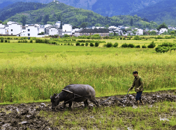 喜欢用诗歌的形式讴歌真善美,揭示假恶丑.