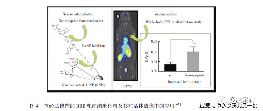 基於血腦屏障靶向多肽的腦神經分析化學研究進展_分子_細胞_方法