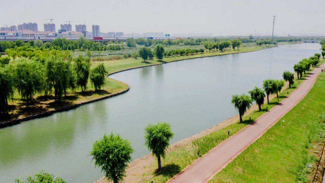 "消劣争优"在行动丨相城漕湖街道:打造幸福河湖,尽显漕湖水韵之美