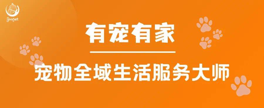 有宠有家：宠物飞机托运指南！”