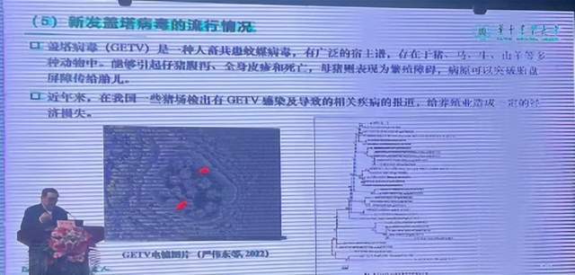 陳煥春院士:當前我國豬病防控現狀與策略_病毒_病原_診斷