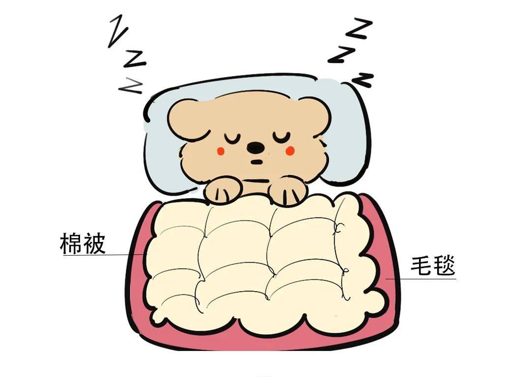 原来盖被子的顺序会影响保暖效果!_空气_棉被_毛毯