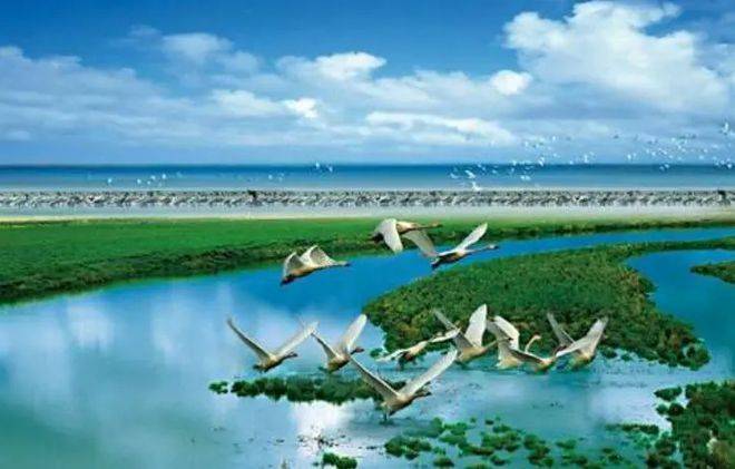 鄱阳湖旅游景点介绍图片