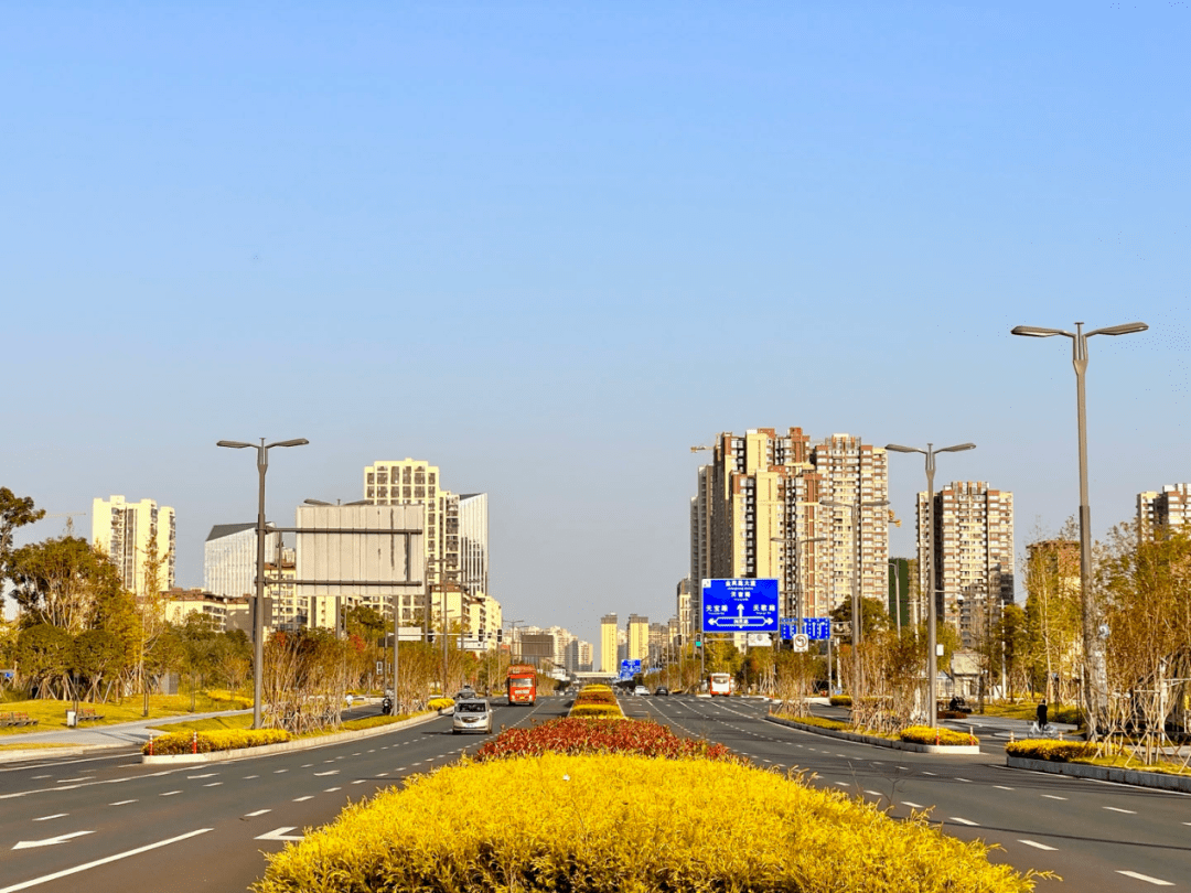 成都_新城_城市