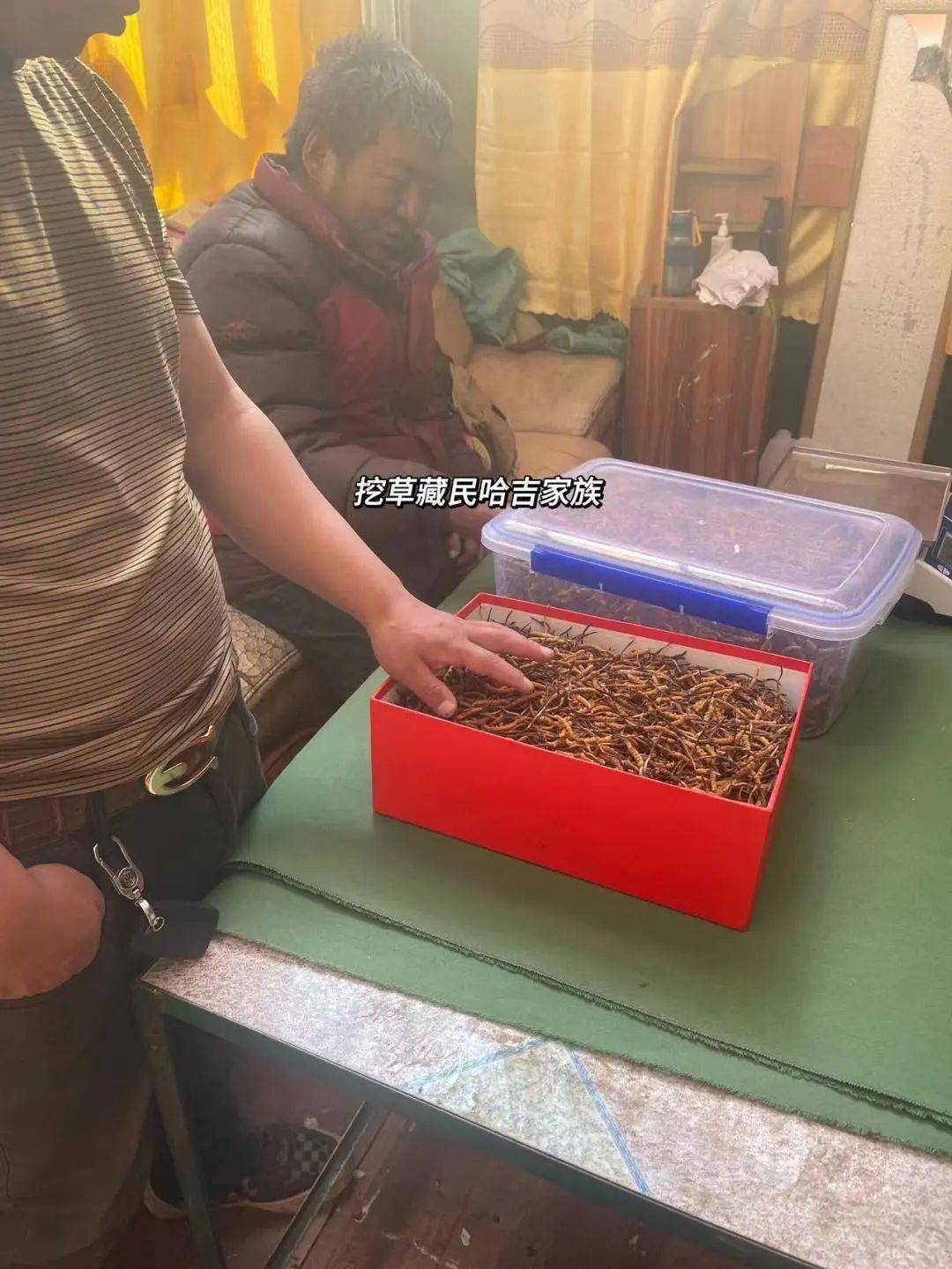 70%的患者都不自知的哮喘如何防治,冬蟲夏草對於哮喘的功效和作用