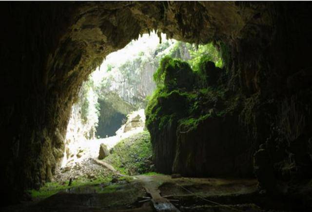 现实版"白毛女",为等爱人隐居深山38年,却被坏人欺负生2孩_杨大姐_杨