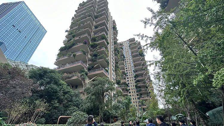 从代际对比看,第一代住宅是茅草房,第二代住房是砖瓦房,第三代住宅是