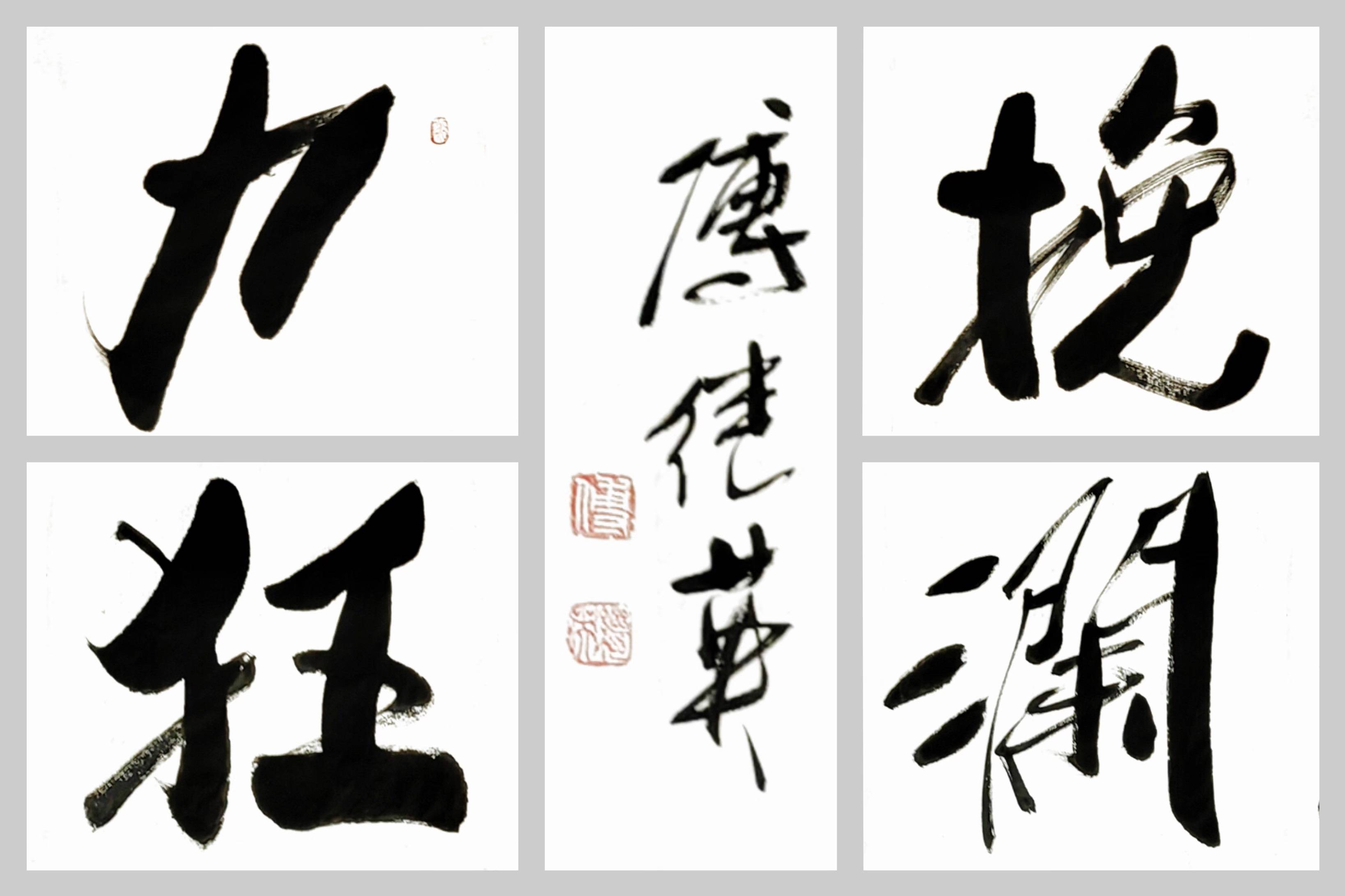 励志书法 傅继英书法作品《力挽狂澜》面对挑战,不言放弃_勇往直前