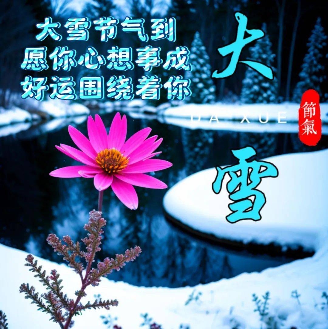 今日大雪节气最新版漂亮大雪早安祝福语表情图片大全问