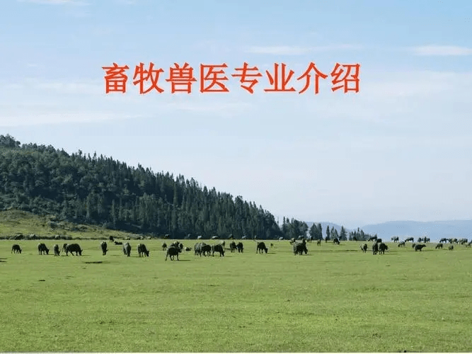 华南农业大学成人专科畜牧兽医专业分析附详细报考步骤_广东省_学历