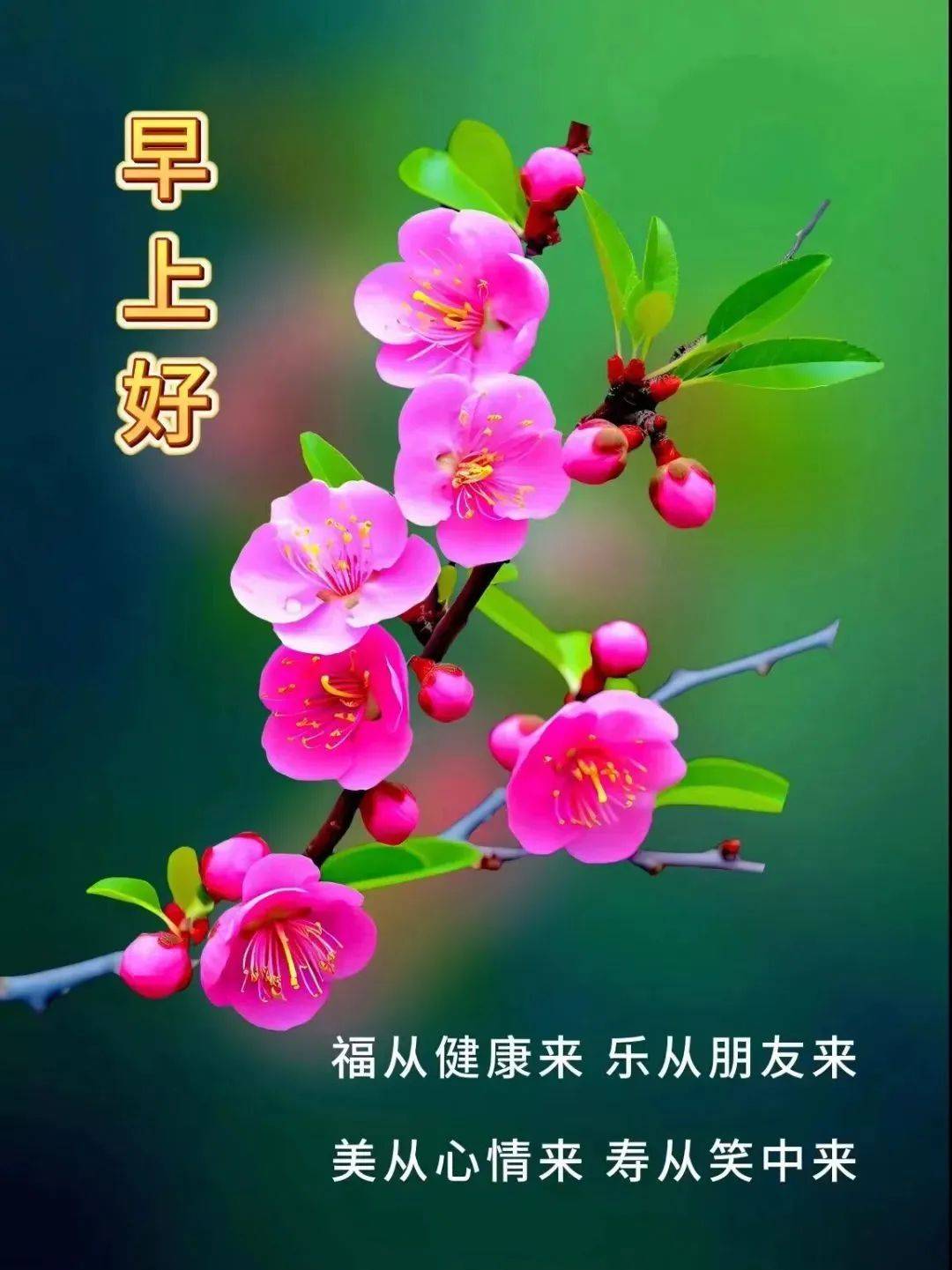生活,怎么可能一切都好,生活,怎么可能一切都好.