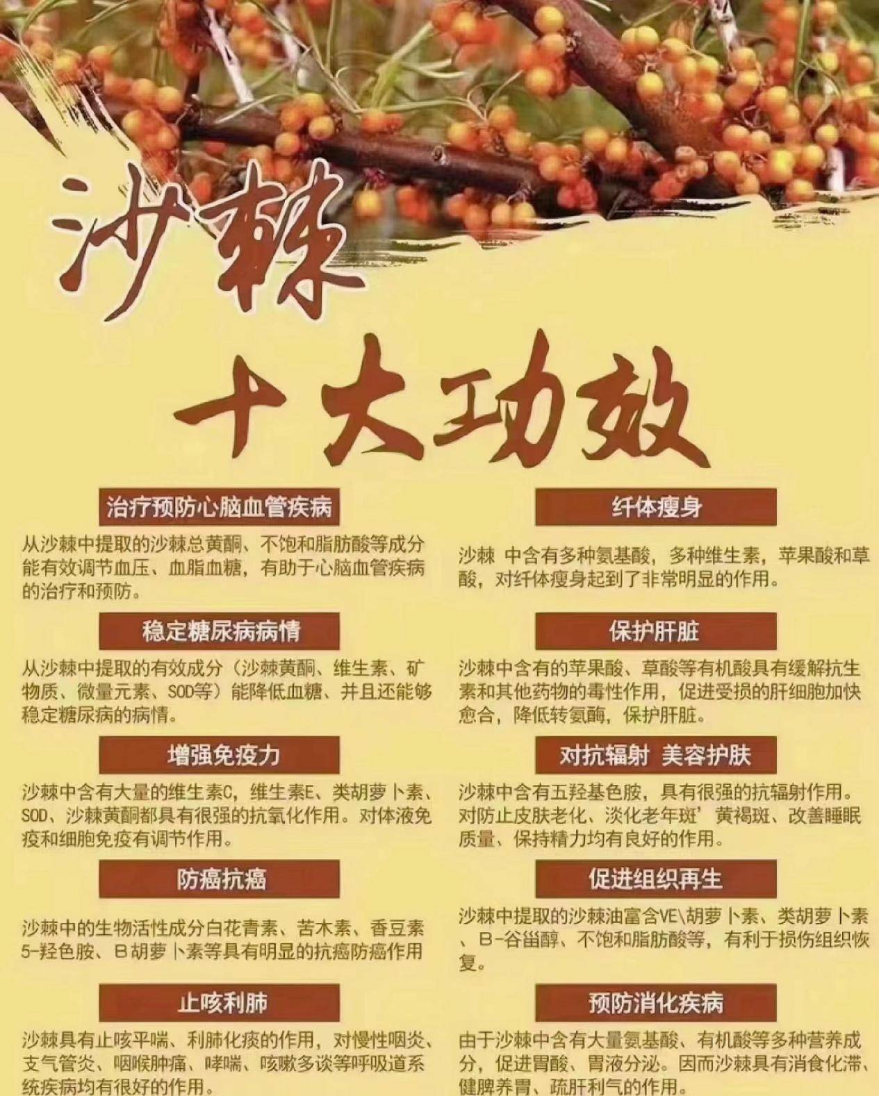 沙枣胶的功效与作用图片