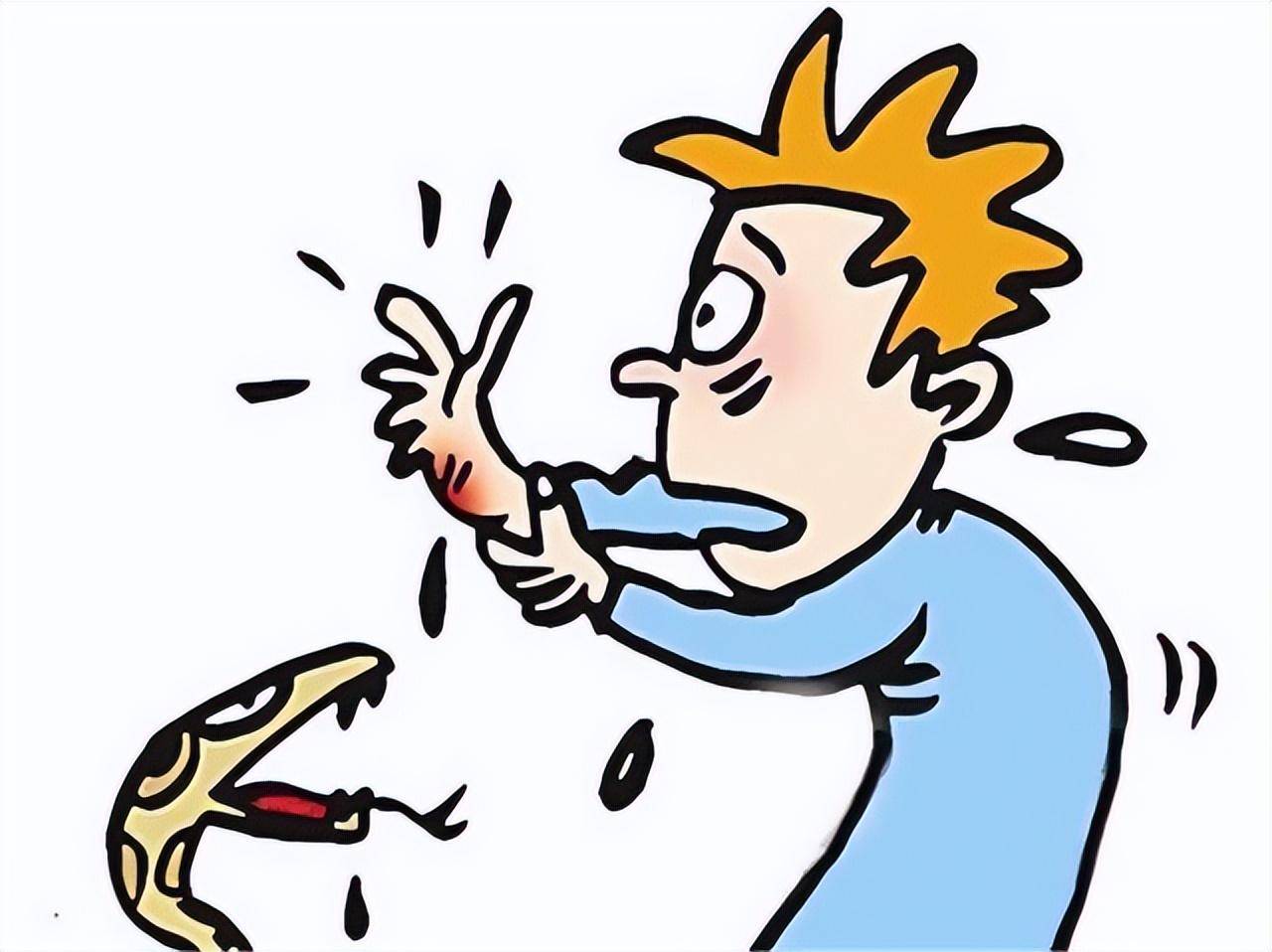 老人口中神秘的“鸡冠蛇”，能喷毒雾还会飞，生物界真的存在吗？(图12)