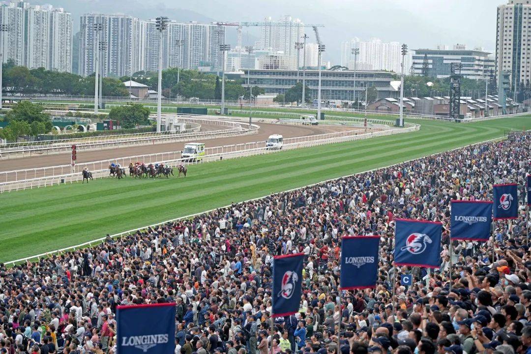 今晚7点30分陈彼德评述,第一赛马网微信号直播回顾"香港国际赛"精彩