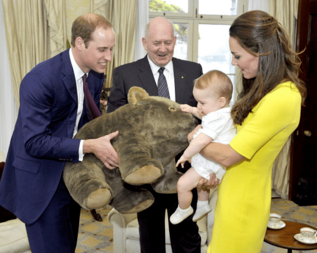 长这么大了?_凯特_威廉_表情