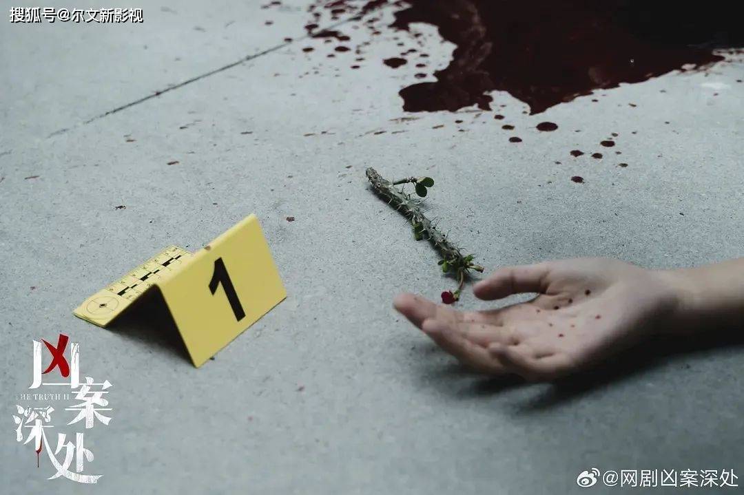 《凶案深处》:首播冲上热榜好评如潮,悬疑剧这么拍,不愁没观众_社会