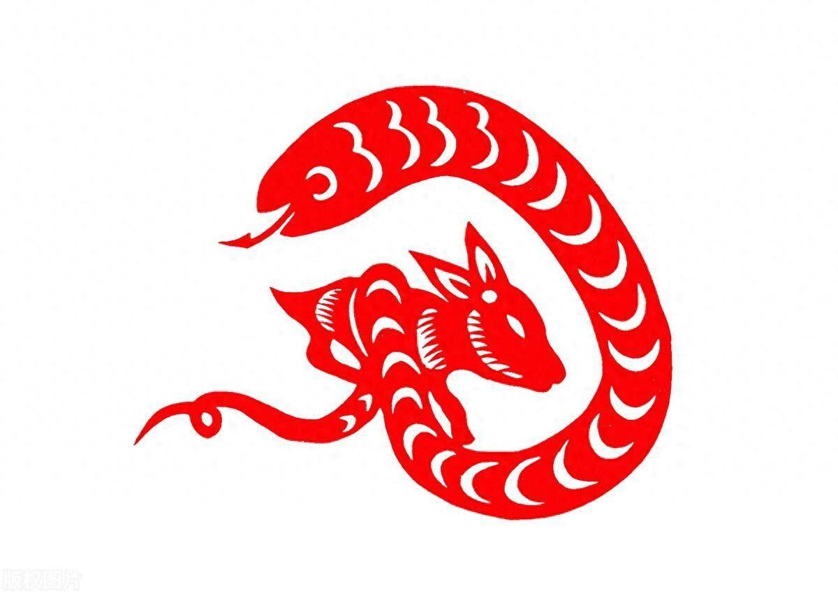 生肖蛇12月千万别犯这四个大忌,尽量避开,以免对运势造成影响_生活