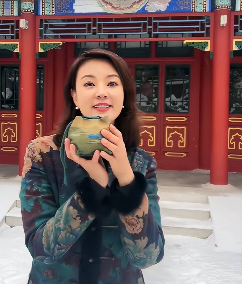 刘芳菲:有惊无险,因大雪封路被困陕西高家堡镇3天之后顺利抵京_北京_