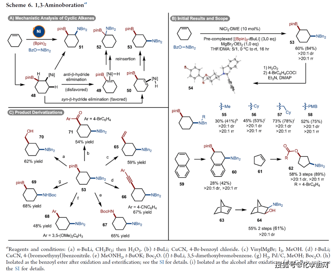 最後,為了進一步闡明環己烯的氨基-硼化反應的區域選擇性和立體選擇