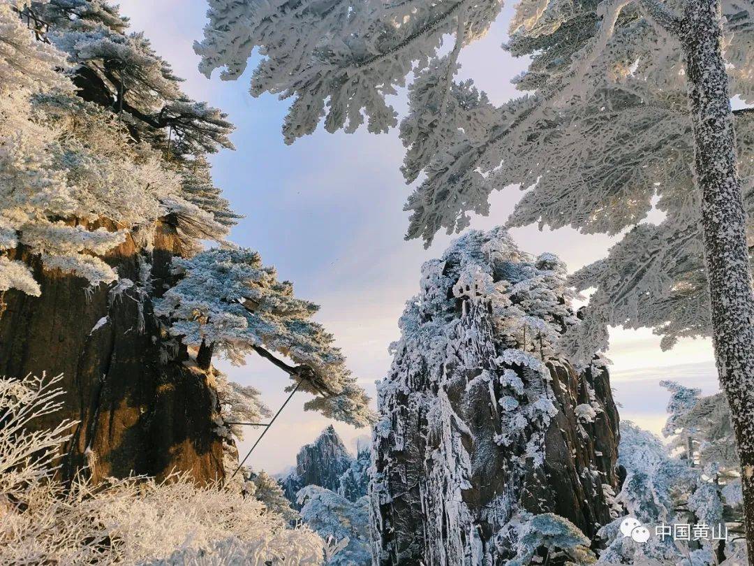 黄山雪景图片2021图片