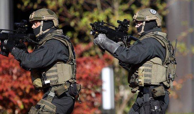 拥有世界级武器的德意志捷豹——德国第九边防大队gsg9_政府_行动